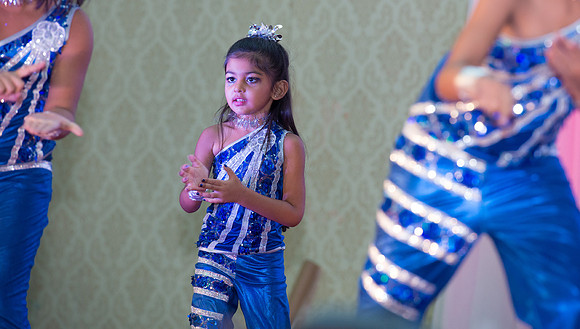 Arya Diwali Party 2014 & Dance-246
