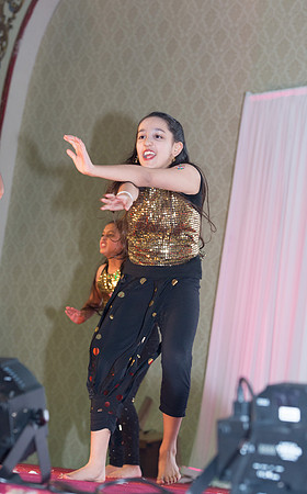 Arya Diwali Party 2014 & Dance-521