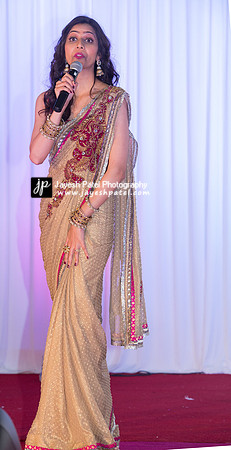 Arya Diwali Party 2014 & Dance-483