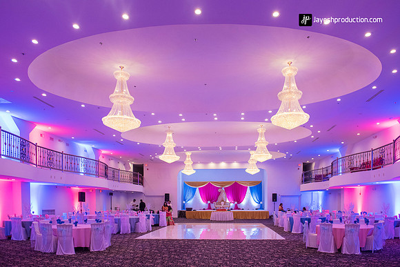 D81_0395