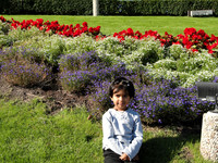 DSC00210