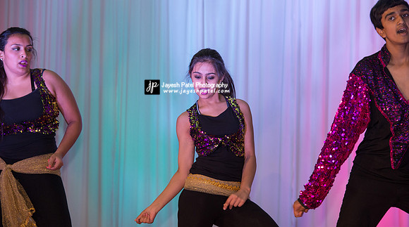 Arya Diwali Party 2014 & Dance-335