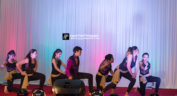 Arya Diwali Party 2014 & Dance-342