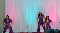 Arya Diwali Party 2014 & Dance-589