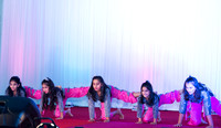 Arya Diwali Party 2014 & Dance-264