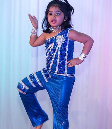 Arya Diwali Party 2014 & Dance-243