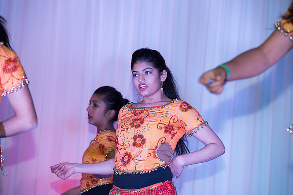 Arya Diwali Party 2014 & Dance-956