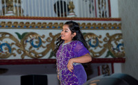 Arya Diwali Party 2014 & Dance-596