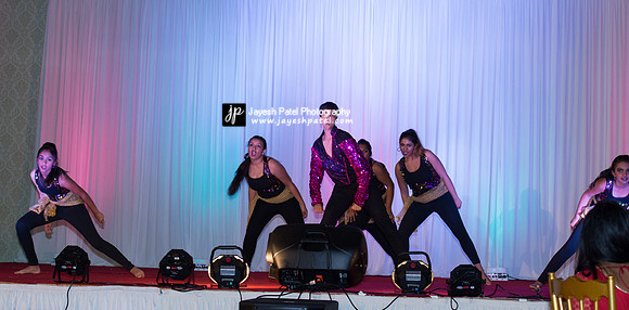 Arya Diwali Party 2014 & Dance-307