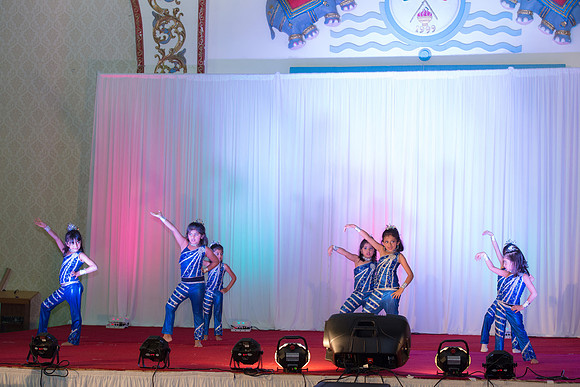 Arya Diwali Party 2014 & Dance-252