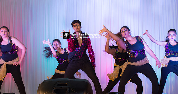 Arya Diwali Party 2014 & Dance-338