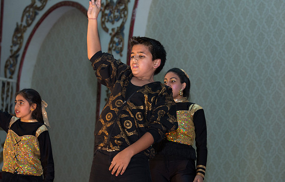 Arya Diwali Party 2014 & Dance-562