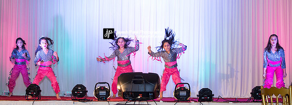 Arya Diwali Party 2014 & Dance-276