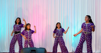 Arya Diwali Party 2014 & Dance-590