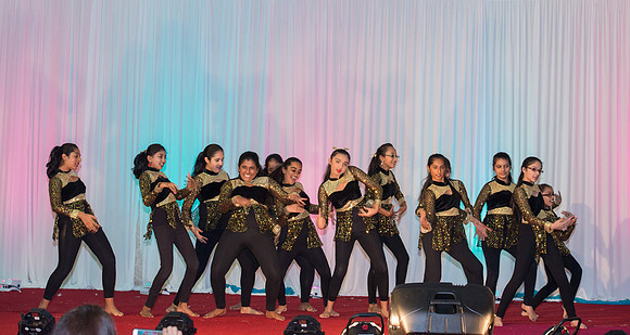 Arya Diwali Party 2014 & Dance-765
