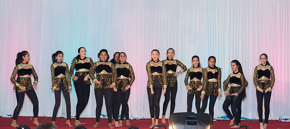 Arya Diwali Party 2014 & Dance-764