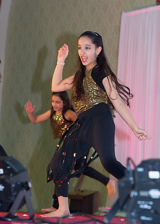 Arya Diwali Party 2014 & Dance-522