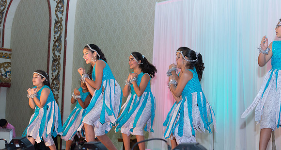 Arya Diwali Party 2014 & Dance-679