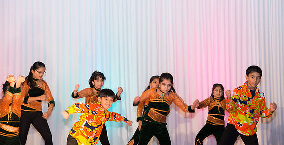 Arya Diwali Party 2014 & Dance-717