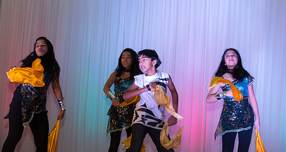 Arya Diwali Party 2014 & Dance-298