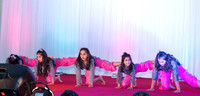 Arya Diwali Party 2014 & Dance-253