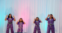 Arya Diwali Party 2014 & Dance-592