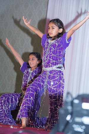 Arya Diwali Party 2014 & Dance-601