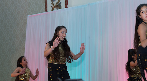Arya Diwali Party 2014 & Dance-529