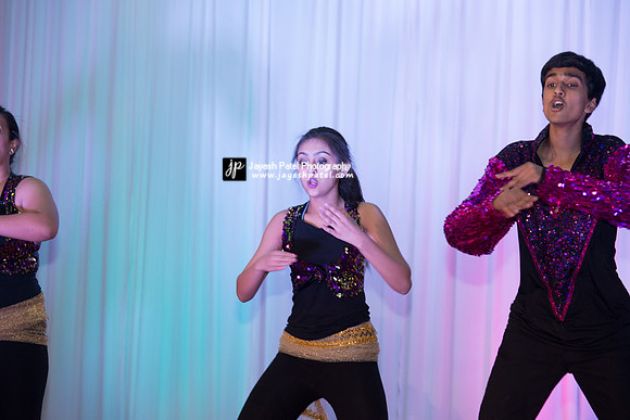 Arya Diwali Party 2014 & Dance-336