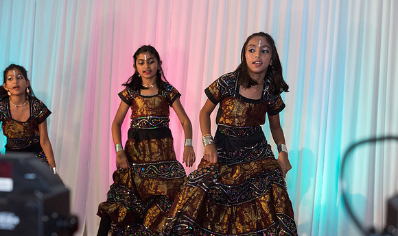 Arya Diwali Party 2014 & Dance-580