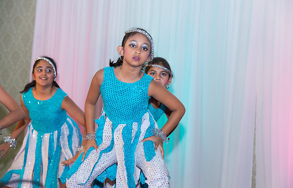 Arya Diwali Party 2014 & Dance-676
