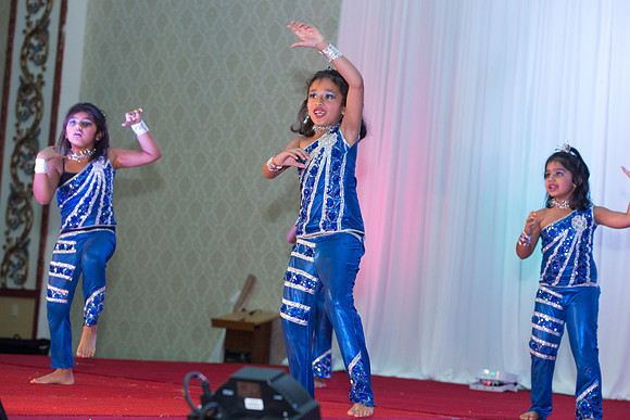 Arya Diwali Party 2014 & Dance-244