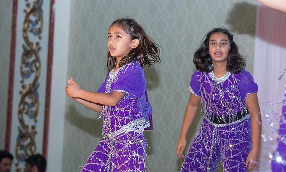 Arya Diwali Party 2014 & Dance-595