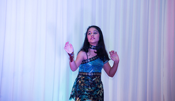 Arya Diwali Party 2014 & Dance-290