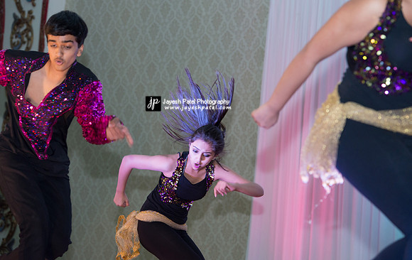 Arya Diwali Party 2014 & Dance-324