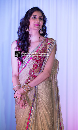 Arya Diwali Party 2014 & Dance-469