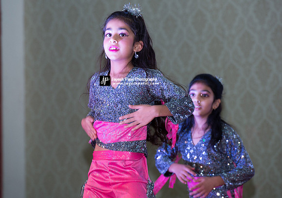 Arya Diwali Party 2014 & Dance-271