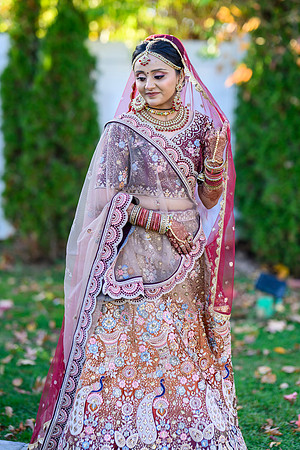 DSC_4137 (2)