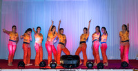 Arya Diwali Party 2014 & Dance-218