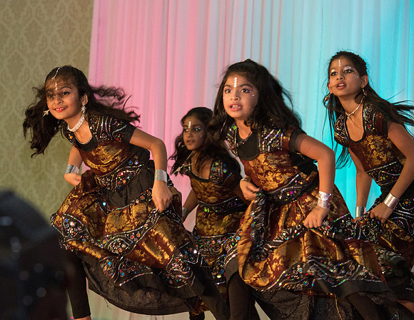 Arya Diwali Party 2014 & Dance-581