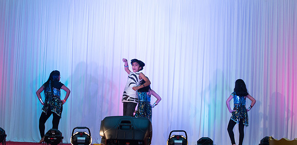 Arya Diwali Party 2014 & Dance-284