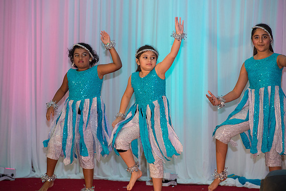 Arya Diwali Party 2014 & Dance-667