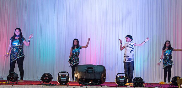 Arya Diwali Party 2014 & Dance-285