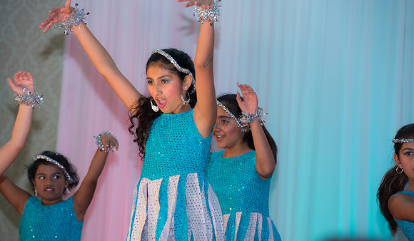 Arya Diwali Party 2014 & Dance-673