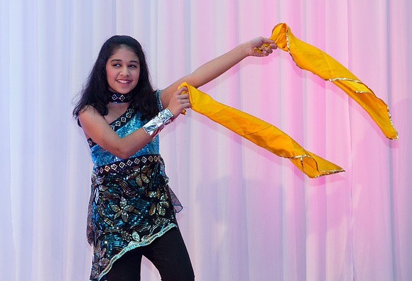 Arya Diwali Party 2014 & Dance-295