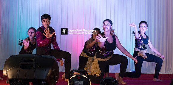 Arya Diwali Party 2014 & Dance-339