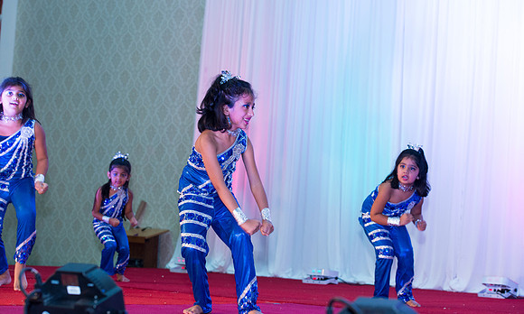 Arya Diwali Party 2014 & Dance-237