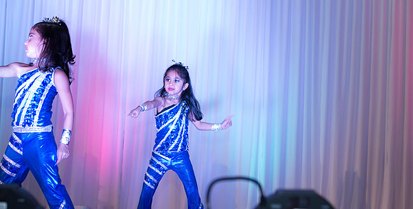 Arya Diwali Party 2014 & Dance-245