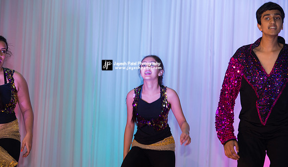 Arya Diwali Party 2014 & Dance-328