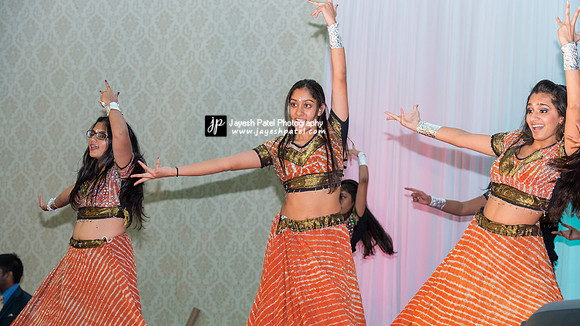 Arya Diwali Party 2014 & Dance-699